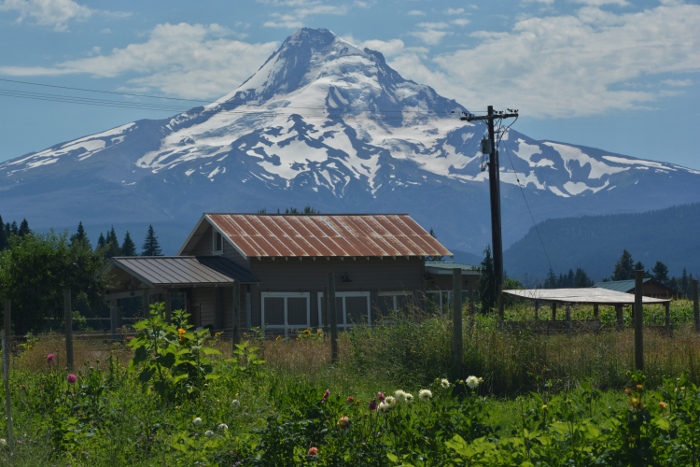 Mt. Hood from the Fruit Loop 
